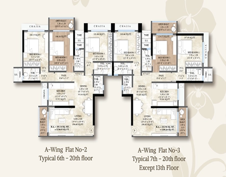 Layout 1