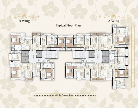 Layout 1
